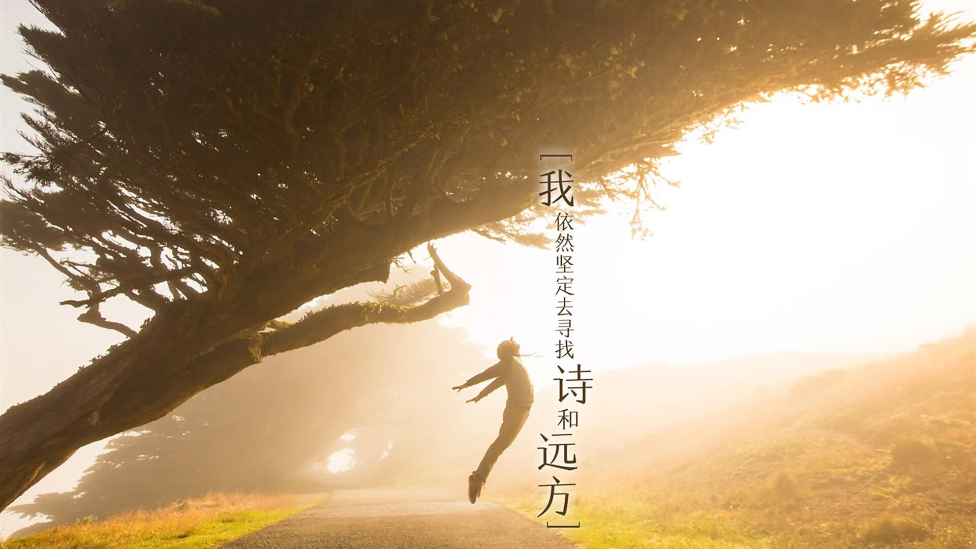 阿根廷马术代表队在2024年世界俱乐部锦标赛中表现出色，获得优异成绩。
