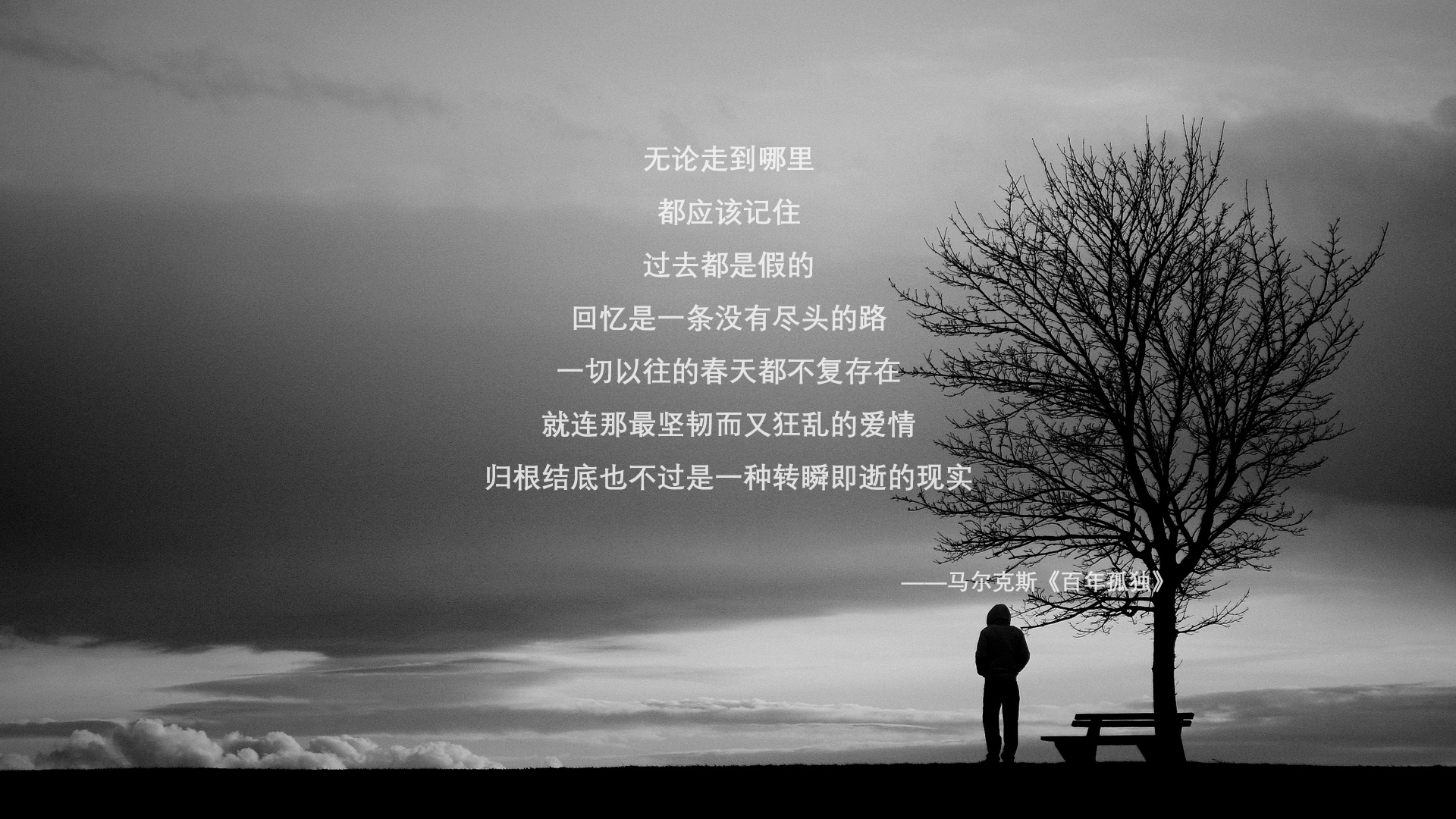 官方乒乓球奥运备战名单出炉，乒乓球备战奥运会