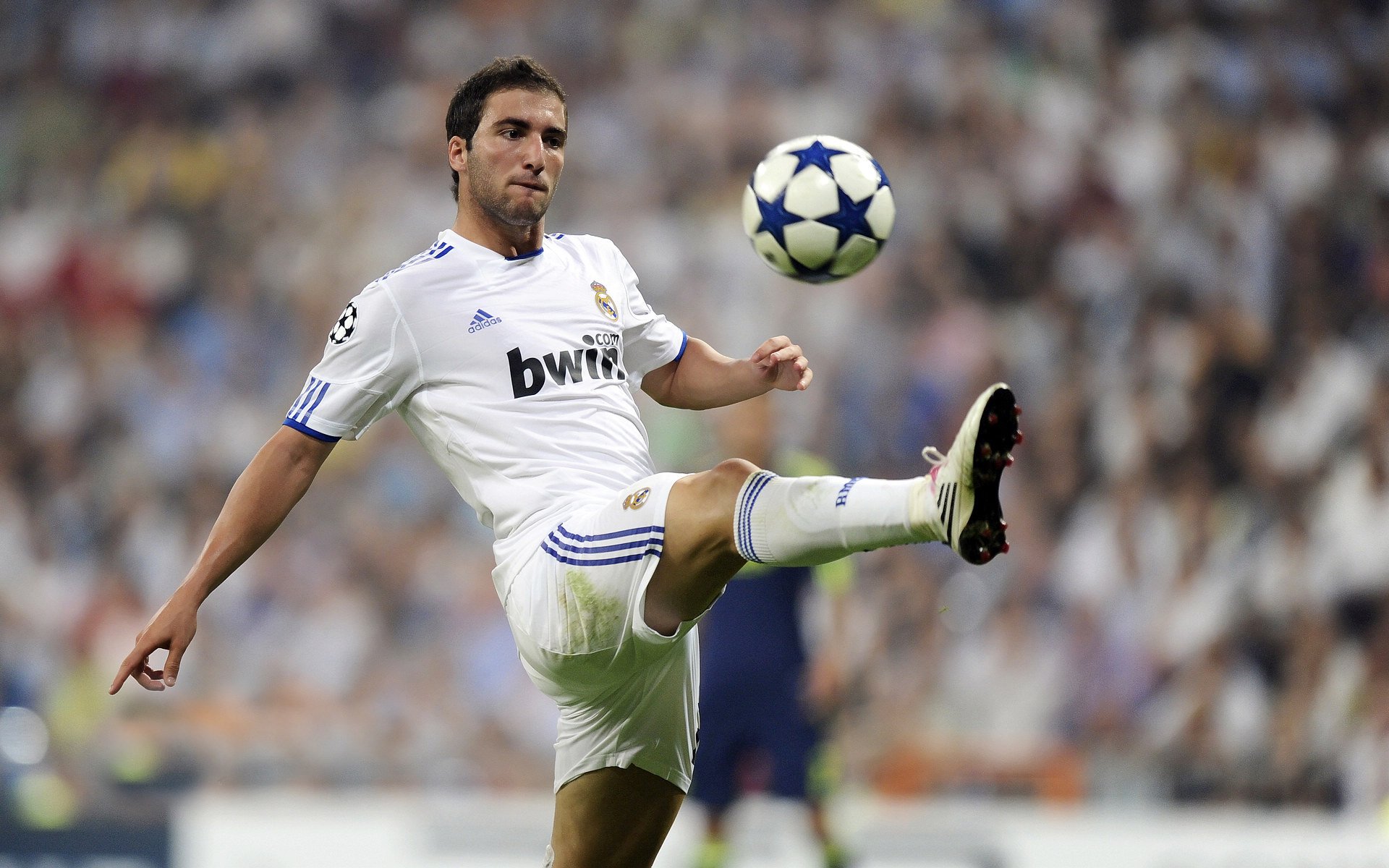 _青少年运动会：培养未来体育明星_，青少年体育运动员