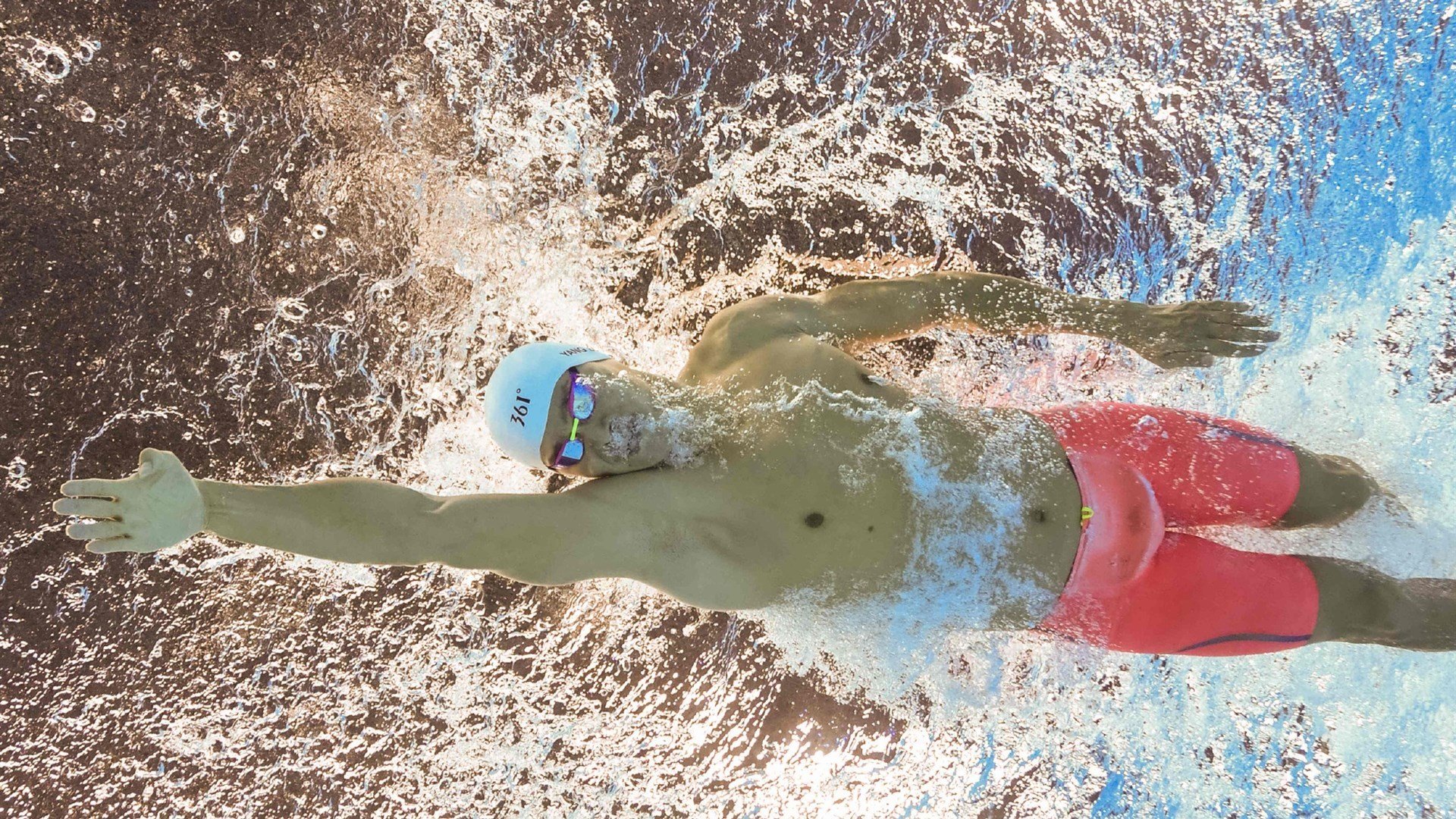 开云体育在线入口-伊朗马术协会建立马匹基因数据库，促进马匹选育与训练。，伊朗马球