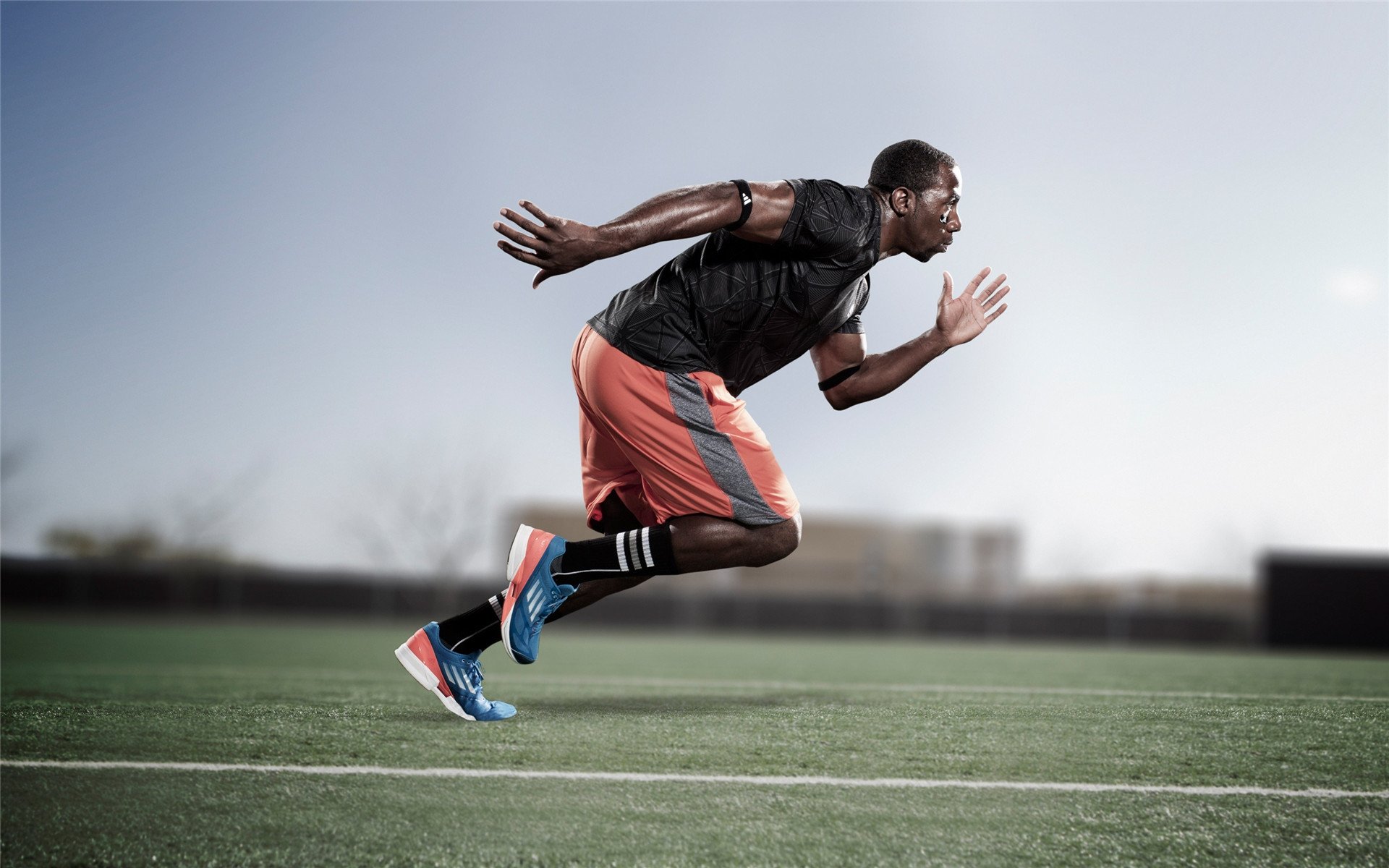 未来汽车行业的F1影响力,未来汽车产业